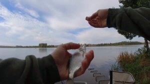 Фидер на стоячем водоеме. Тетеринское водохранилище. Раздача "леща"