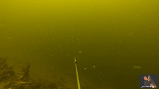 Подводная охота на Волге 20 09 2015г СУДАК и ЩУКА !!! смотреть онлайн