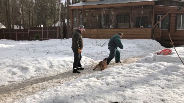 ЗКС. Атака на фигуранта.