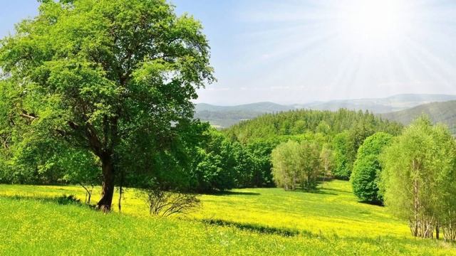 В гости к Маленькому привидению. Буктрейлер смотреть онлайн