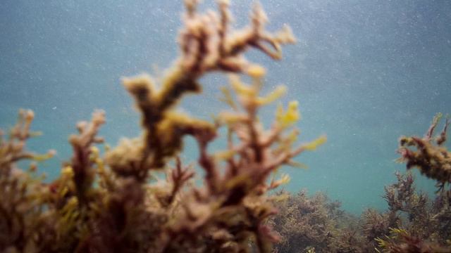 Болтанка. Черное море. смотреть онлайн