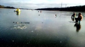 Лиски, озеро Богатое