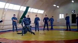 Тренировка ОМОНа по технике самбо