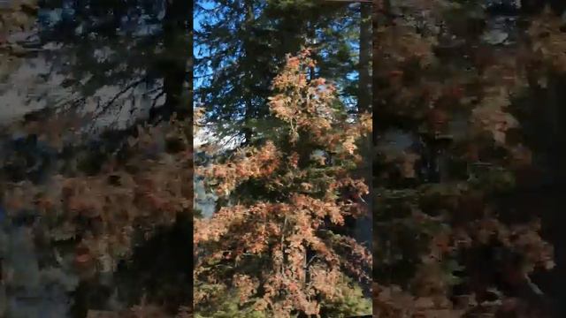 Мои преключения (1 часть)(3)
