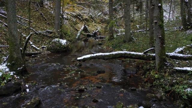 Река Окменица смотреть онлайн