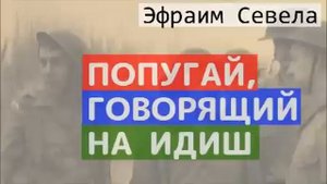 ?  ПОПУГАЙ, ГОВОРЯЩИЙ НА ИДИШ.  Эфраим Севела.  АУДИОКНИГА