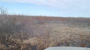 Аэролодка флагман дк420 с 1kr-fe выезжаем с болота