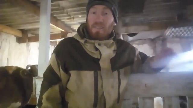 ПОЯВИЛИСЬ КОЗЛЯТА. КОРМЛЮ: ЧЕМ? СКОЛЬКО? КОГДА? смотреть онлайн