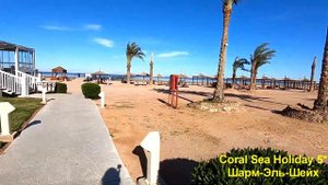 Обзор ТОПового ОТЕЛЯ Coral Sea Holiday в Шарм эль Шейх. Египет 2019. Отели Шарма. sharm el sheikh