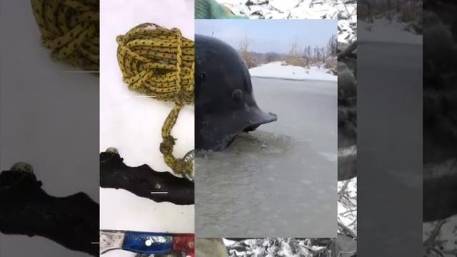 Находки на поисковый магнит серии МП смотреть онлайн