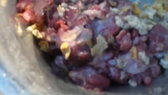 Бультерьер и арбузные корки смотреть онлайн