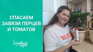 Почему у томатов опадают завязи/ Спасаем  и делаем профилактику