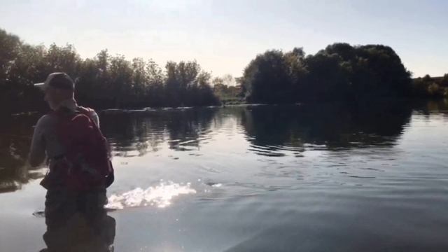 Лайт и ультралайт на Дону: голавль, жерех, язь/Chub Fishing, Asp Fishing смотреть онлайн