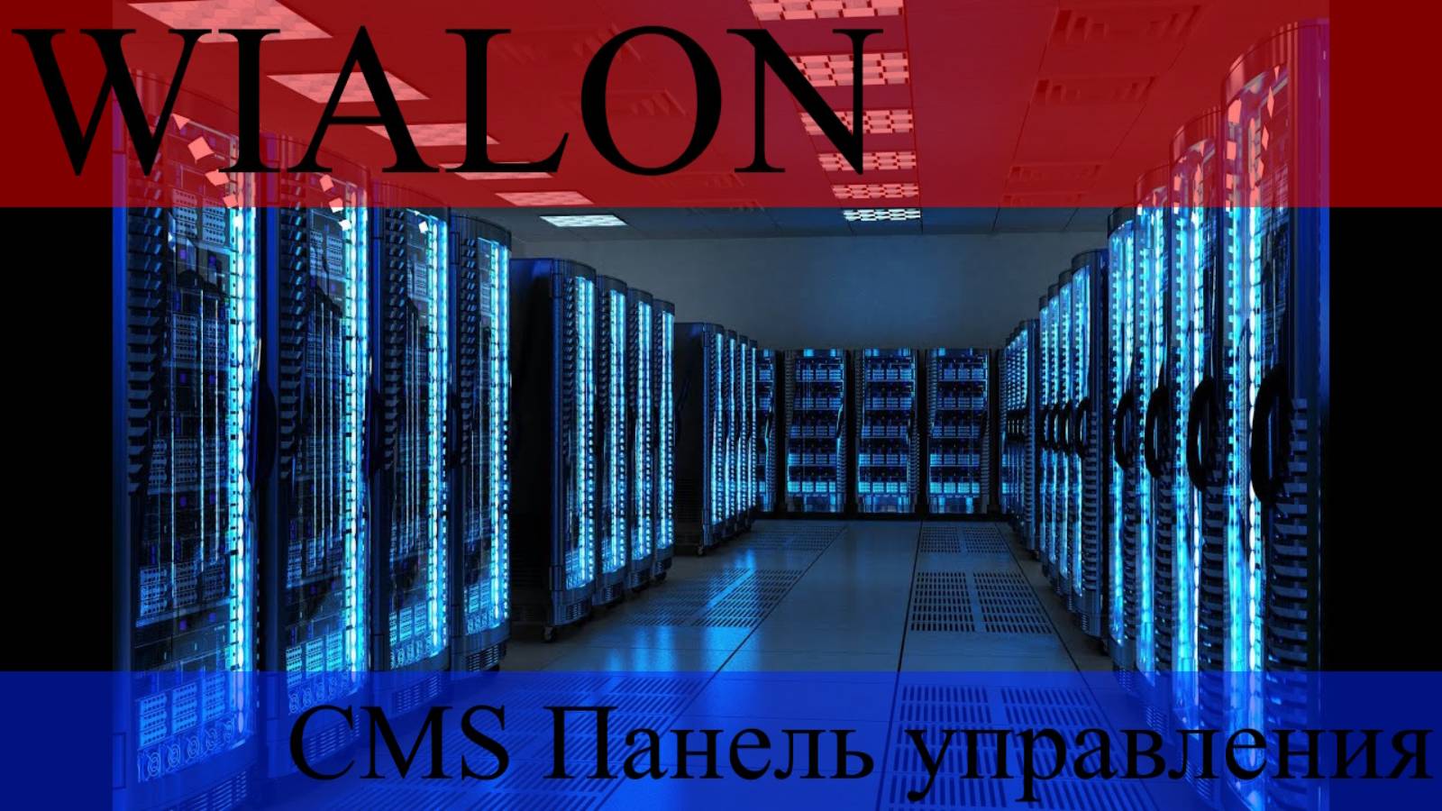 WIALON CMS почему не отображаются созданные ресурсы учетных записей пользователей в ЦМС ВИАЛОН