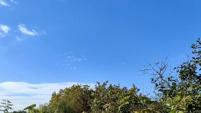 Самое важное женское качество.