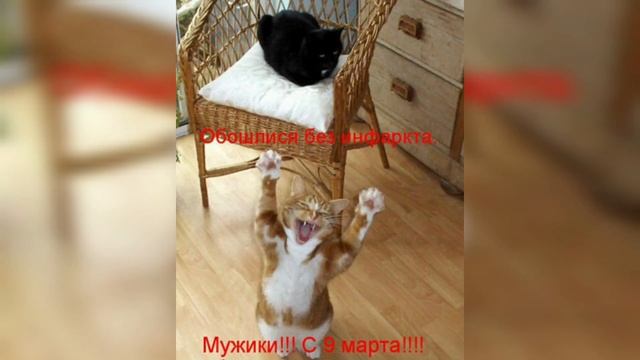 С 9 МАРТА МУЖИКИ