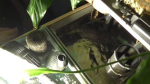 Префильтр на Fluval FX6 (практические примеры)