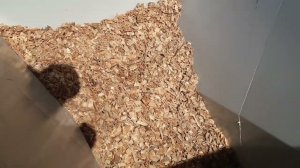 Участок приемки и подачи щепы на измельчение г. Алапаевск Свердловская область