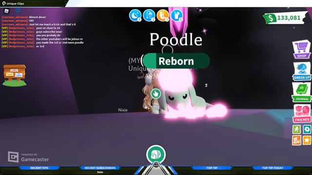 Adopt Me First Neon Poodle смотреть онлайн