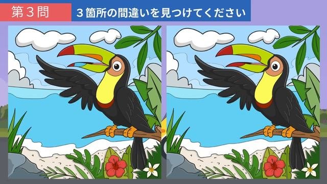 【間違い探し】難問多め！イラストのまちがい３つを９０秒以内に見つけ出そう！【クイズ】