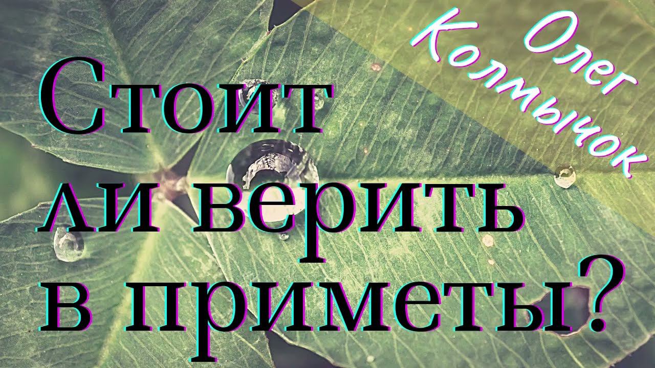 Стоит ли верить в приметы?