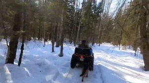 КвадроПокатушки. ? природа. Весна. Апрель 2022 г кабаньи тропы..mp4