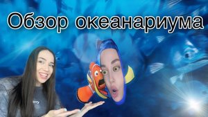 Обзор на самый большой океанариум в Казани !