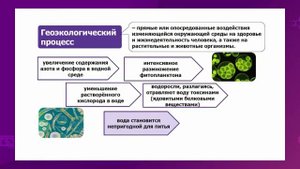 География. 10 класс. Предмет исследования и актуальность геоэкологии /18.11.2020/