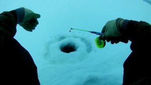 не ЛОВЛЯ СУДАКА ЗИМОЙ со льда! И такое бывает)