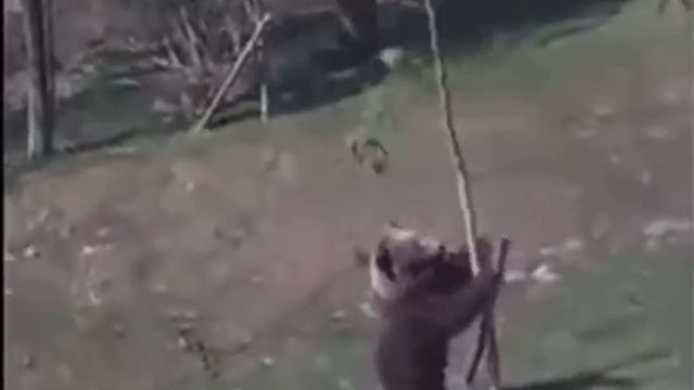 Когда мама вернулась с родительского собрания .MP4 смотреть онлайн