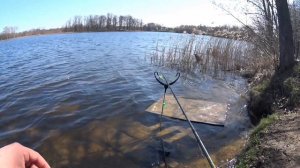 Фидер в апреле. Открыл сезон