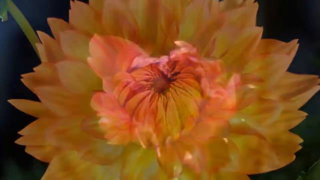 С Днем Рождения смотреть онлайн