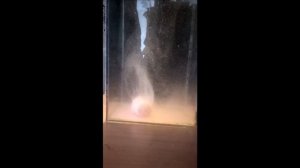 Испытания зимнего технопланктона в холодной воде