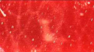 HENRY MANCINI - The Pink Panther