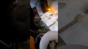 Озеро дубровное Шадринск Курганская обл 11.01.2018