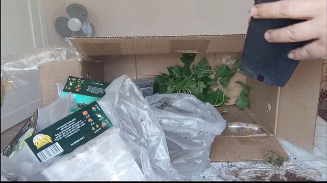 Распаковываем посылку из интернет-магазина АГРОСЕМФОНД.