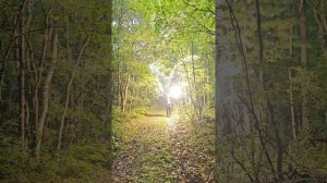 Пионер аэрозольный пистолет. Топим, стреляем Громом и шумовыми холостыми.