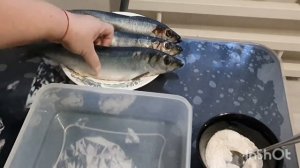 СОЛИМ СЕЛЕДКУ САМИ! ПРОСТО! БЫСТРО!ВКУСНО!!!