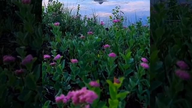 Предсказания о переходе в новый мир Все меняется старый мир отмирает новый мир возрождается