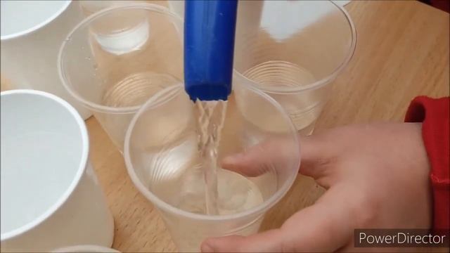 Фикус Бенджамина (черенкование) смотреть онлайн