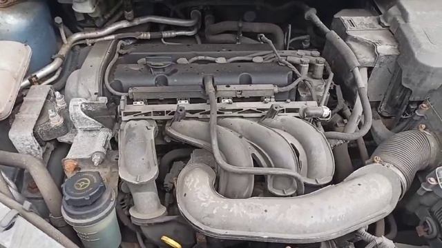 M144 ДВС (Двигатель) Ford Focus-2 1.6i смотреть онлайн