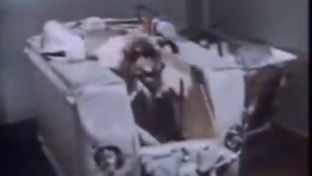 1957: Sputnik 2 (USSR) смотреть онлайн