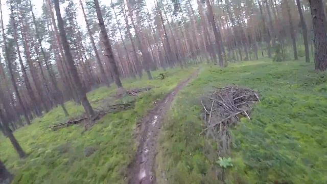 Avantis 250 pro - добрался до мота смотреть онлайн