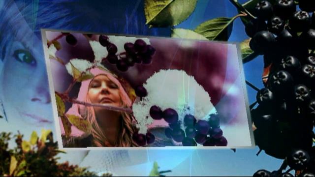 Рябина черная !!! смотреть онлайн