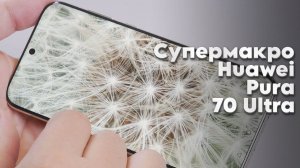 Макросъемка на HUAWEI Pura 70 Pro и 70 Ultra