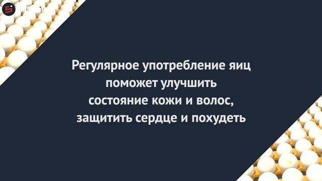 Всемирный день яйца