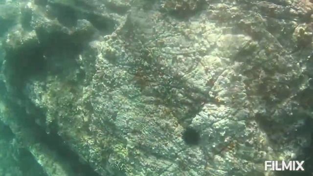 Черногория 2021 Морская прогулка, Купание в Пещере и пляж Плоче за 10 евро #ВидеоЗапискиМихалыча смотреть онлайн