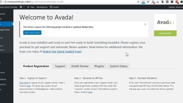 Install the WordPress Avada Theme