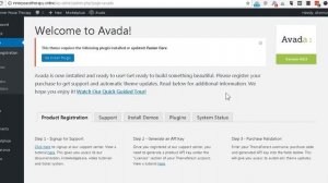 Install the WordPress Avada Theme