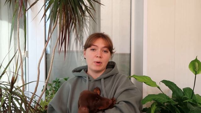 Восприятие / Психические процессы